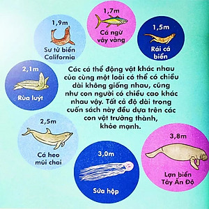 Sách Cá Voi Dài Bao Nhiêu?