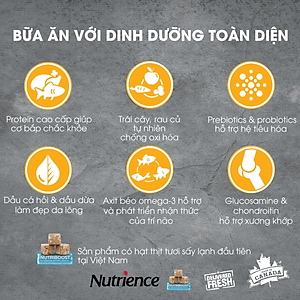 Thức Ăn Hạt Cho Mèo Anh ALD & ALN Nutrience Subzero Bao 5kg - Thịt Gà, Cá Hồi, Rau Củ, Trái Cây Tự Nhiên