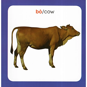 Sách Từ Điển Hình Ảnh Cho Bé: Động Vật