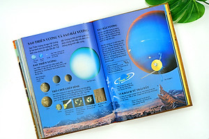 Sách Thiếu Nhi – Bách Khoa Tri Thức Dành Cho Trẻ Em – Đinh Tị