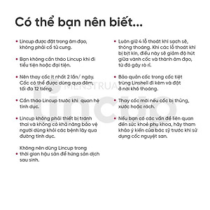 Cốc nguyệt san Lincup 0 chính hãng (25ml) - Nhập Khẩu Mỹ