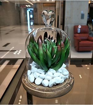 500g Sỏi trắng dải trang trí chậu cây, bể cá - Cây giả, hoa lụa Decor trang trí nhà cửa