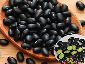 Hạt Đậu Đen Đỗ Đen Bắc Xanh Lòng Lý Tưởng 400g
