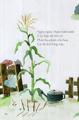 Sách Từ Những Hạt Mầm: Gà Choai Trồng Bắp