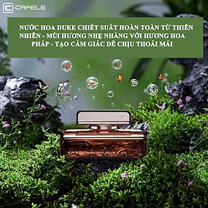 Nước hoa thơm dịu nhẹ, khử mùi cho xe ô tô