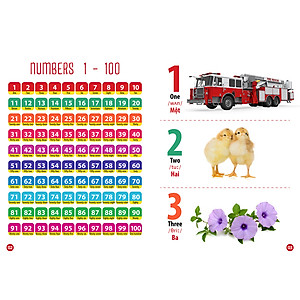 Từ Điển - Thư Viện Hình Ảnh Song Ngữ Đầu Tiên Của Bé - Chữ Cái Và Số Đếm