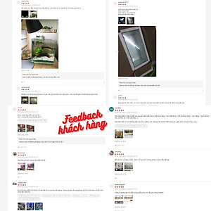 Bể cá mini , Nhiều kích thước lựa chọn, đầy đủ phụ kiện trang trí.