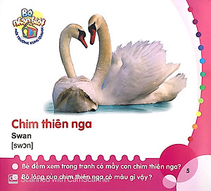 Sách Bé Nhận Biết Môi Trường Xung Quanh (0 - 3 Tuổi) - Chim (Birds)