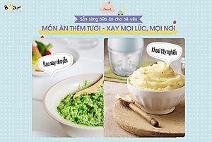 Máy Xay Thực Phẩm Bear QSJ-D02Q1 Xay Cực Êm 0.6L - Hàng Nhập Khẩu