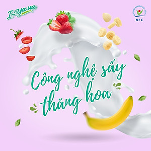 Sữa chua sấy thăng hoa I.Yaua túi 25g mix 05 vị (việt quất, sầu riêng, chuối, dâu và truyền thống)