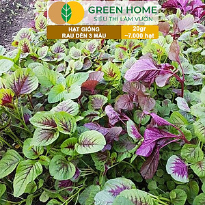 Hạt Giống Rau Dền 3 Màu Greenhome, Gói 20g~7000 hạt, Dễ Trồng Quanh Năm, Nảy Mầm Cao, Thu Hoạch Nhanh, Năng Suất Cao R15