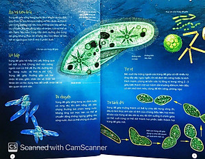 Sách Động Vật Kỳ Quặc