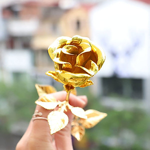 Quà tặng sinh nhật ý nghĩa: Bông hoa hồng mạ  vàng cao cấp cho nữ