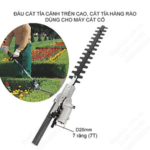 Đầu tỉa cành trên cao, cắt tỉa hàng rào, cắt tỉa cây, gắn máy cắt cỏ loại D26-28mm tùy chọn