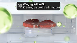 Tủ lạnh Toshiba Inverter 253 lít GR-RT329WE-PMV(52) - Hàng Chính Hãng (Chỉ giao HCM)