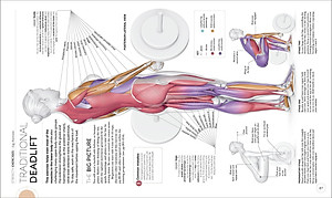 Science Of Strength Training: Understand The Anatomy And Physiology To Transform Your Body