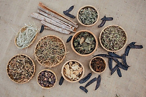 TINH CHẤT GỘI ĐẦU THẢO MỘC MẸ KEN-Chai 250ml