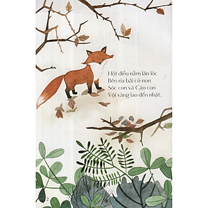 Sách Từ Những Hạt Mầm: Hột Điều Của Sóc