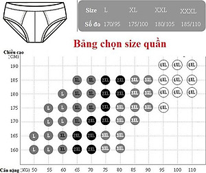 Bộ 5 Quần Lót Nam Tam Giác Xuất Nhật Chất Mát (Màu Ngẫu Nghiên)