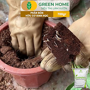 Phân Bón Hữu Cơ Greenhome, Minro, Bao 700g, Sinh Học Giúp Cây Khoẻ, Ổn Định, Sai Hoa, Đậu Trái Chuyên Hoa Hồng, Lan, Rau