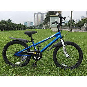 XE ĐẠP TRẺ EM ROYAL BABY FREESTYLE RB20B