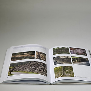 Kỹ thuật kiến trúc cảnh quan