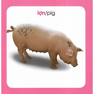 Sách Từ Điển Hình Ảnh Cho Bé: Động Vật