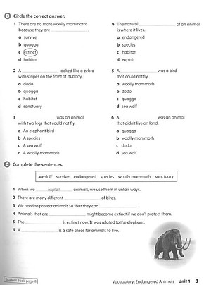 Oxford Discover 2nd Edition: Level 5: Workbook With Online Practice