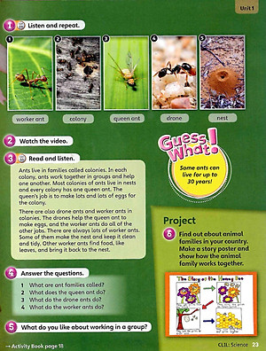 Guess What! Level 5 Pupil's Book British English