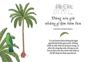 Sống Như Những Cái Cây - Những Bài Học Nhỏ Để Có Nguồn Hạnh Phúc Bất Tận (Tái Bản 2021)