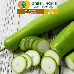 Hạt Giống Bầu Lai Greenhome, Gói 1gr~10 hạt, Dễ Trồng Quanh Năm, Nảy Mầm Cao, Thu Hoạch Nhanh, Năng Suất Cao T09