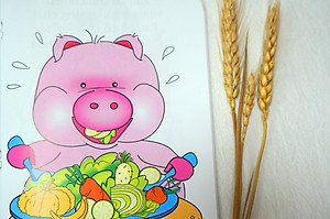 Bộ 12 Truyện tranh song ngữ Việt Anh rèn thói quen tốt cho bé - Đinh Tị - thích hợp bé 3-12 tuổi