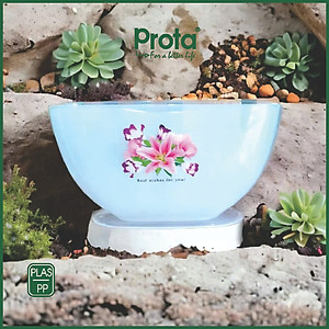 Combo 2 tô nhúng bánh tráng 3 ngăn hoa lớn Prota