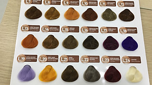 Kem nhuộm màu tóc cao cấp Lavox Youth&Color L24 ( Nâng tông màu)