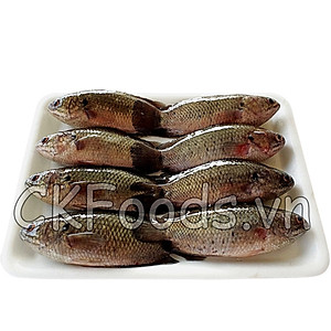 Cá rô bí đồng nguyên con - 200 g