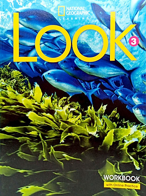 Look 3: Workbook With Online Practice