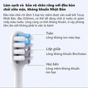 Bàn chải điện Xiaomi Shell DR-BEI Sonic BET-C01- Hàng Nhập Khẩu