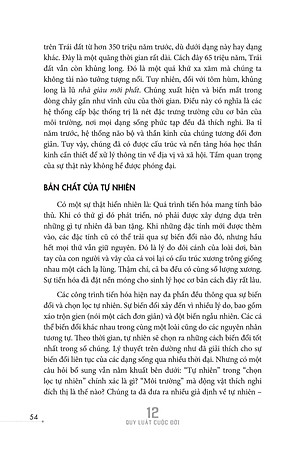 Sách 12 Quy Luật Cuộc Đời: Thần Dược Cho Cuộc Sống Hiện Đại
