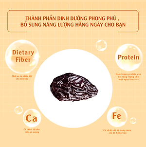 Mận Khô 120g  Dan D Pak