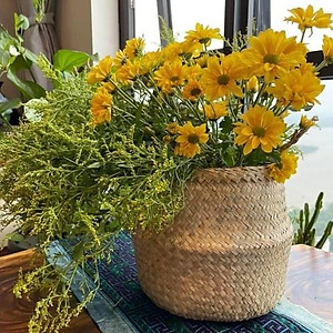 Giỏ cói trồng cây ONGTRE /đựng quần áo/decor tự nhiên có quai/giỏ cói đựng đồ nhiều kích thước