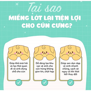 TODAY'S PADS  - Miếng lót vệ sinh cho chó, loại 20/50/100 miếng.