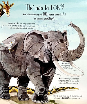 Sách Tương Tác - Big book - Cuốn sách khổng lồ về các loài động vật khổng lồ