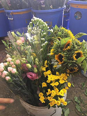 Dung Dịch Xử Lý Hoa TOG Galileo của ISRAEL (Chai 1 Lít) dùng bảo quản hoa cắt cành tươi lâu tại Nhà Vườn Trồng Hoa, Vựa Hoa và Chợ Sỉ Hoa. Tỷ lệ dung dịch 0.1% tức chai 1 Lít TOG pha được 1.000 Lít dung dịch xử lý hoa