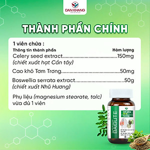 Viên uống Hỗ Trợ Kiểm Soát Các Bệnh Về Gout, Hỗ Trợ Giảm Đau Do Gout Baigout (Hộp 20 Viên)