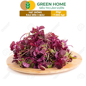Hạt Giống Rau Dền 3 Màu Greenhome, Gói 20g~7000 hạt, Dễ Trồng Quanh Năm, Nảy Mầm Cao, Thu Hoạch Nhanh, Năng Suất Cao R15