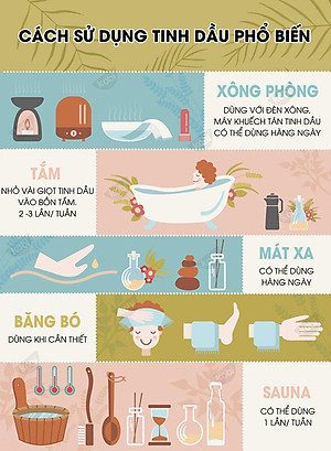 Tinh Dầu Tràm Trà Kobi Tea Tree Essential Oil Giúp Chăm Sóc Da, Thanh Lọc Không Khí, Kháng Khuẩn Hiệu Quả