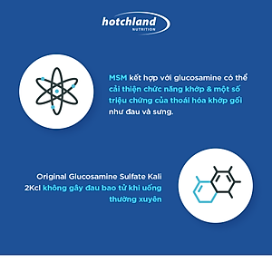 Viên uống xương khớp Glucosamine hỗ trợ tái tạo sụn khớp, giảm sưng đau khớp Mega Flex - Hàng chính hãng Hotchland Nutrition Việt Nam [Hộp 60 viên] - HL4646