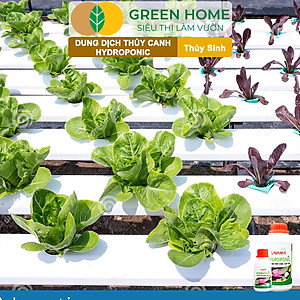 Dung Dịch Thủy Canh Greenhome, Lavamix, Phân Bón Cây Thuỷ Sinh, Hoa Sen, An Toàn Cho Cá, Tép Cảnh