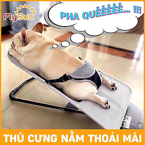 Ghế giường nằm ngồi bập bênh cho chó cún mèo thú cưng ngủ giá rẻ cỡ lớn MySun
