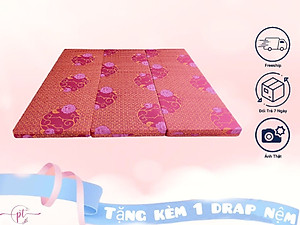 Nệm Bông Ép Cao Cấp Gấp 3 Dày 5cm Đủ Size ( Giao Màu Ngẫu Nhiên )